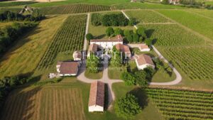 Beautiful organic vineyard estate in the Montravel, Haut-Montravel and Côtes de Bergerac AOCs