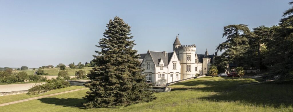 vaste jardin d'un vignoble bordelais