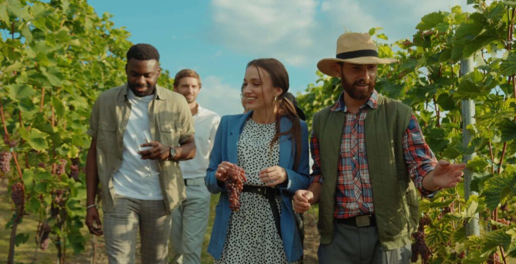 Wine tourism in the vineyards