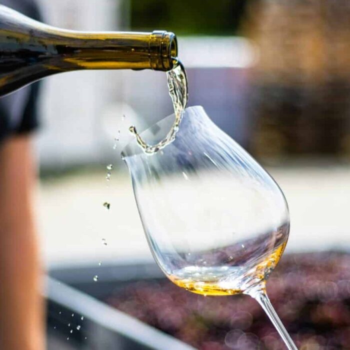 Qu’est-ce que la biodynamie ? Qu’est-ce que la biodynamie ?