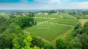 Domaine viticole de référence en biodynamie aux portes de Saint-Émilion