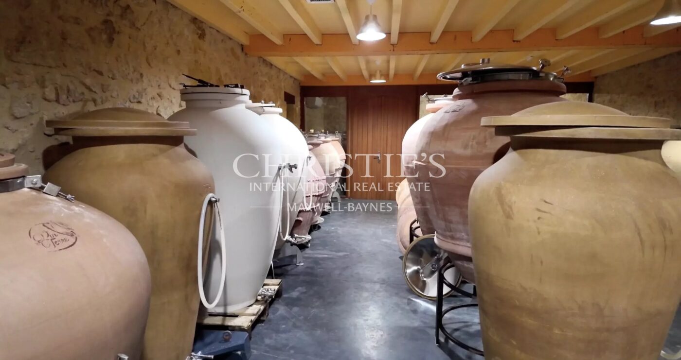 Domaine viticole de référence en biodynamie aux portes de Saint-Émilion