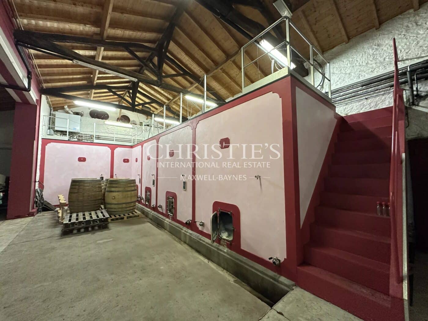 Domaine viticole de référence en biodynamie aux portes de Saint-Émilion