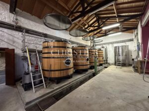 Domaine viticole de référence en biodynamie aux portes de Saint-Émilion