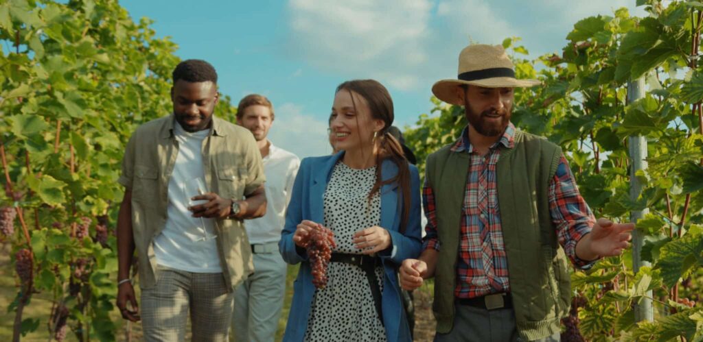 Groupe de touristes dans les vignes