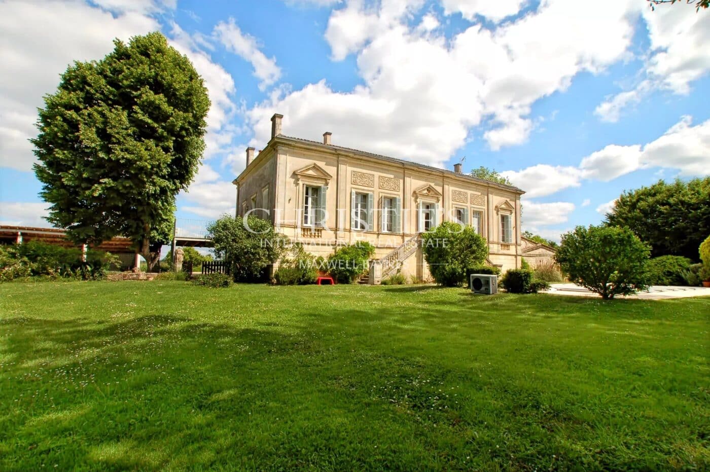 Charming property with a view of the Dordogne, gîte and vineyard