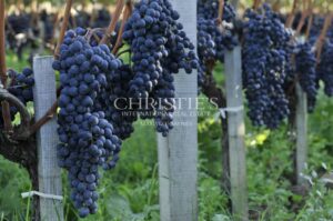 Remarkable Family-Owned Vineyard Estate in the Heart of Saint-Émilion Grand Cru