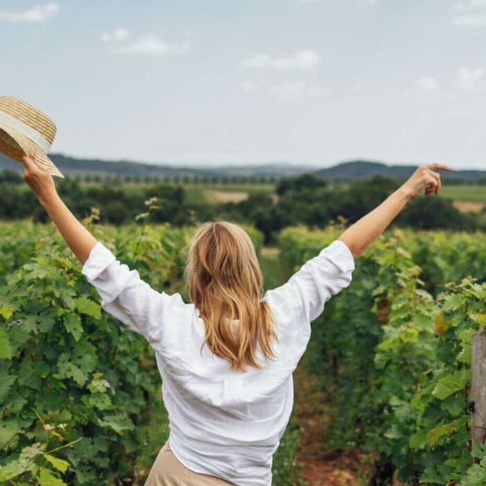 Wine Land Grouping (GFV): Definition, Operation and Taxation Wine Land Grouping (GFV): Definition, Operation and Taxation