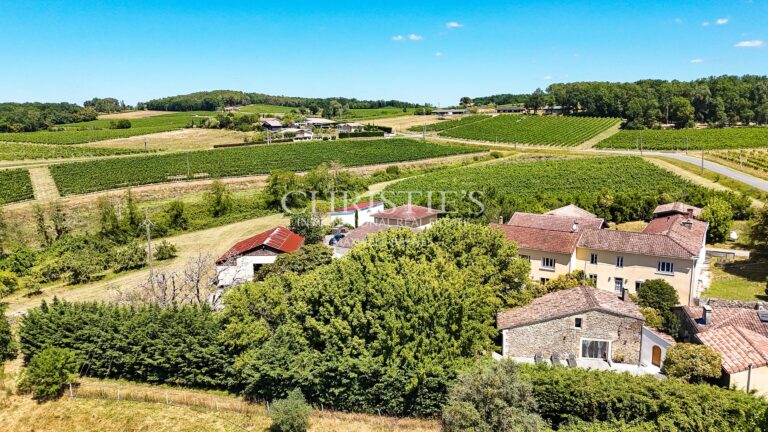Petit domaine viticole avec trois maisons, 350m² avec piscine