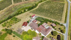 Petit domaine viticole avec trois maisons, 350m² avec piscine
