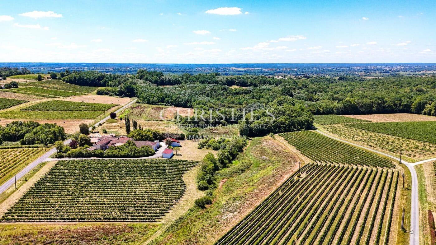 Petit domaine viticole avec trois maisons, 350m² avec piscine