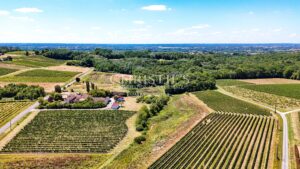 Petit domaine viticole avec trois maisons, 350m² avec piscine