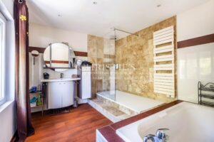 Petit domaine viticole avec trois maisons, 350m² avec piscine