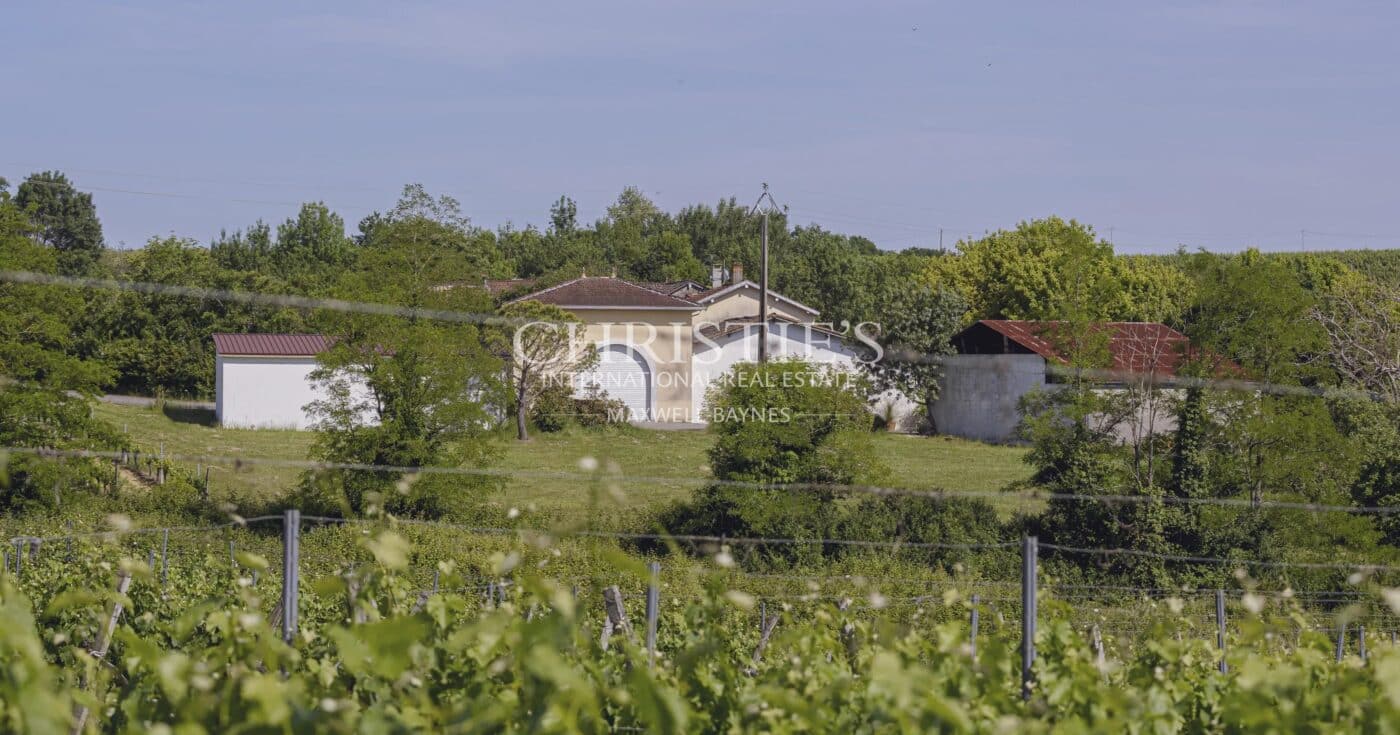 Petit domaine viticole avec trois maisons, 350m² avec piscine