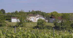 Petit domaine viticole avec trois maisons, 350m² avec piscine