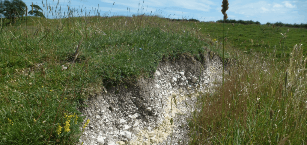 Close view of soft white Campanian chalk beneath the topsoil of a Cognac vineyard