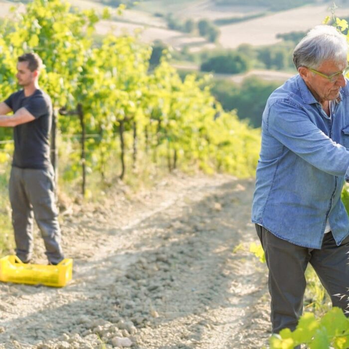 Biodynamic Wine: What It Really Means Biodynamic Wine: What It Really Means