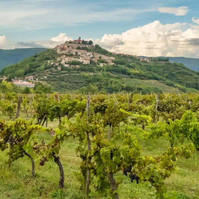 Saint-Émilion Grand Cru: Inside Bordeaux’s Only Living Classification Saint-Émilion Grand Cru: Inside Bordeaux’s Only Living Classification